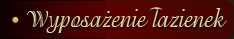 Wyposazenie �azienek